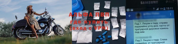 крисы Белоозёрский