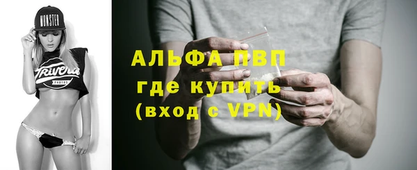 ECSTASY Белокуриха