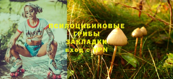 крисы Белоозёрский