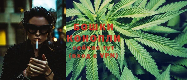 крисы Белоозёрский