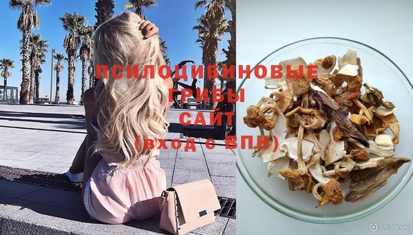 крисы Белоозёрский