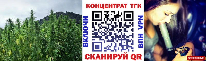 ТГК THC oil  Купить закладки  Вытегра 