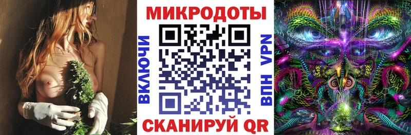 Псилоцибиновые грибы MAGIC MUSHROOMS Купить закладки Вытегра